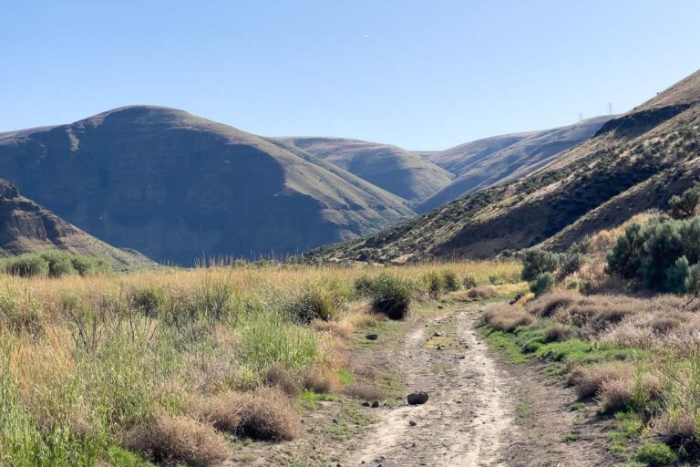 Cottonwood Canyon State Park trails