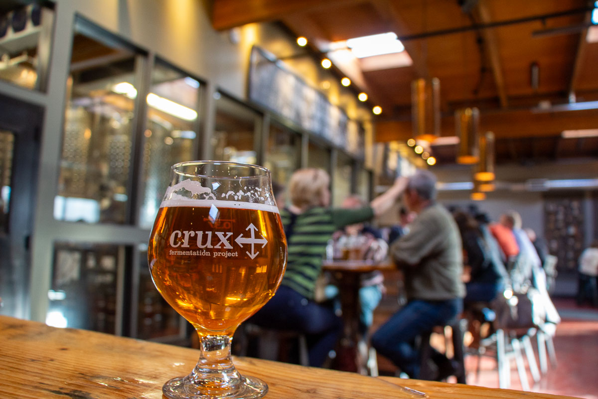 Crux Fermentation Project beer with bar in the background.