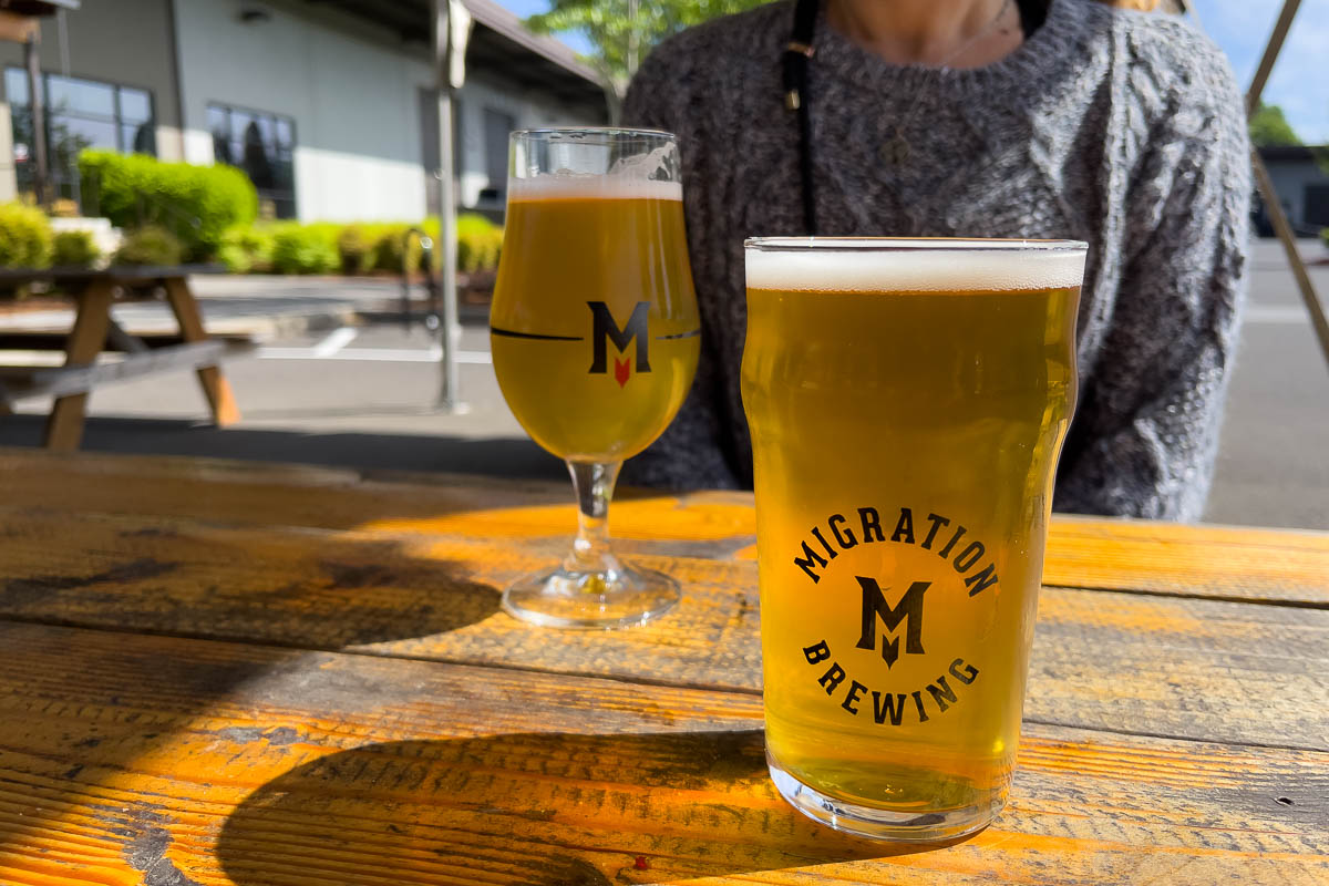 Migration Brewing two beers on table.