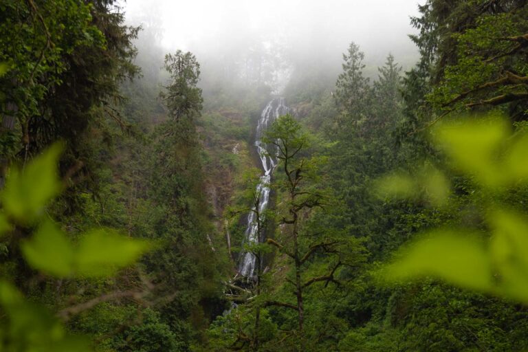 Munson Creek Falls—A Cool Oregon Coast Waterfall