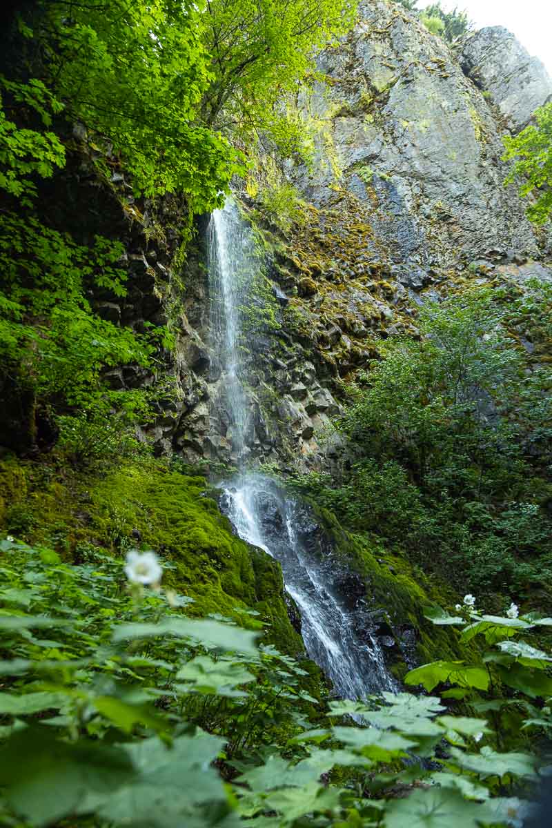 Starvation Creek Trail Cabin Creek Falls