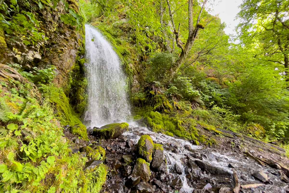 Starvation Creek Trail Lancaster falls.