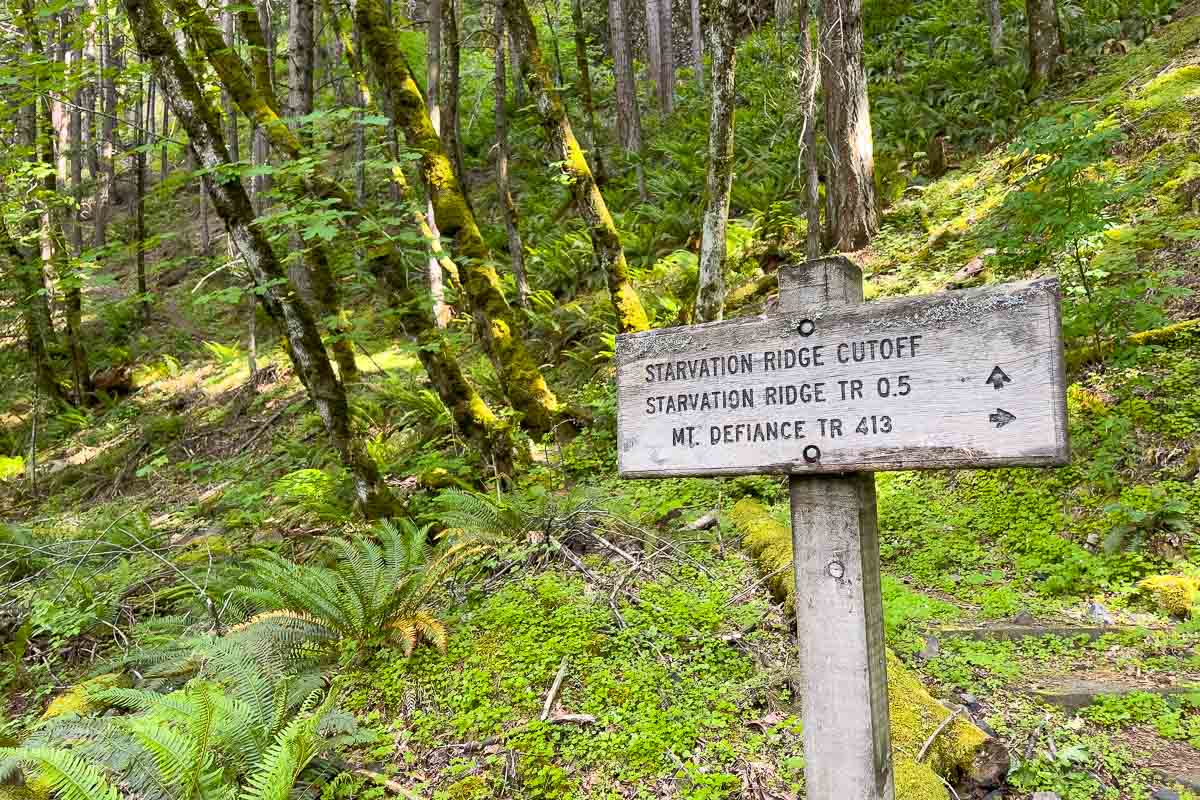 Starvation Creek Trail Mount Defiance trailhead.