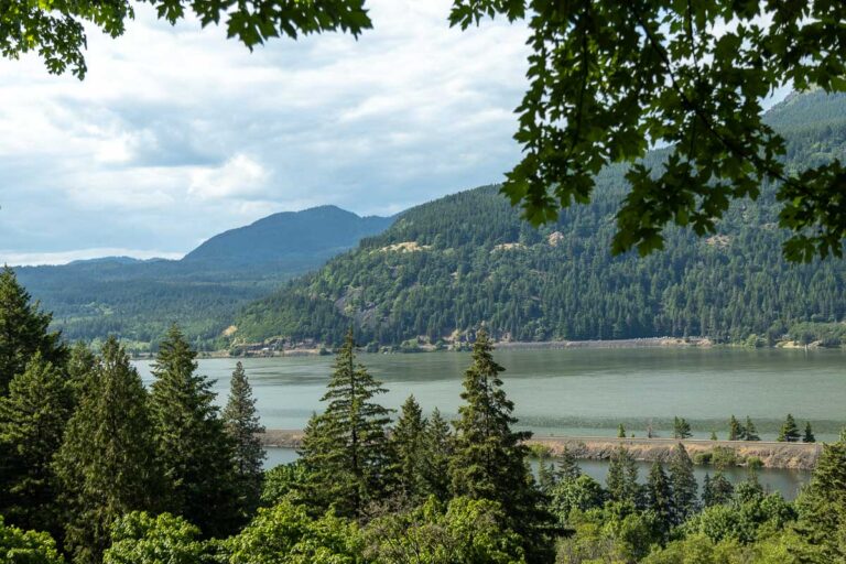 Starvation Creek Trail gorge view.