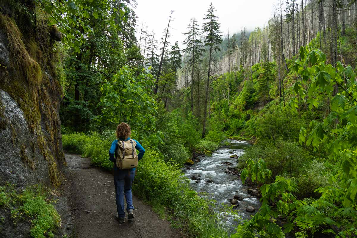Nina walking along green filled trail with river below.