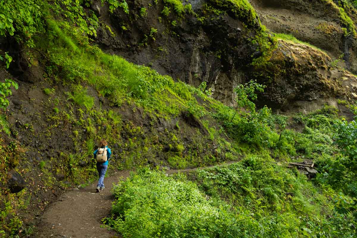 Nina on narrow trail on Eagle Creek trail