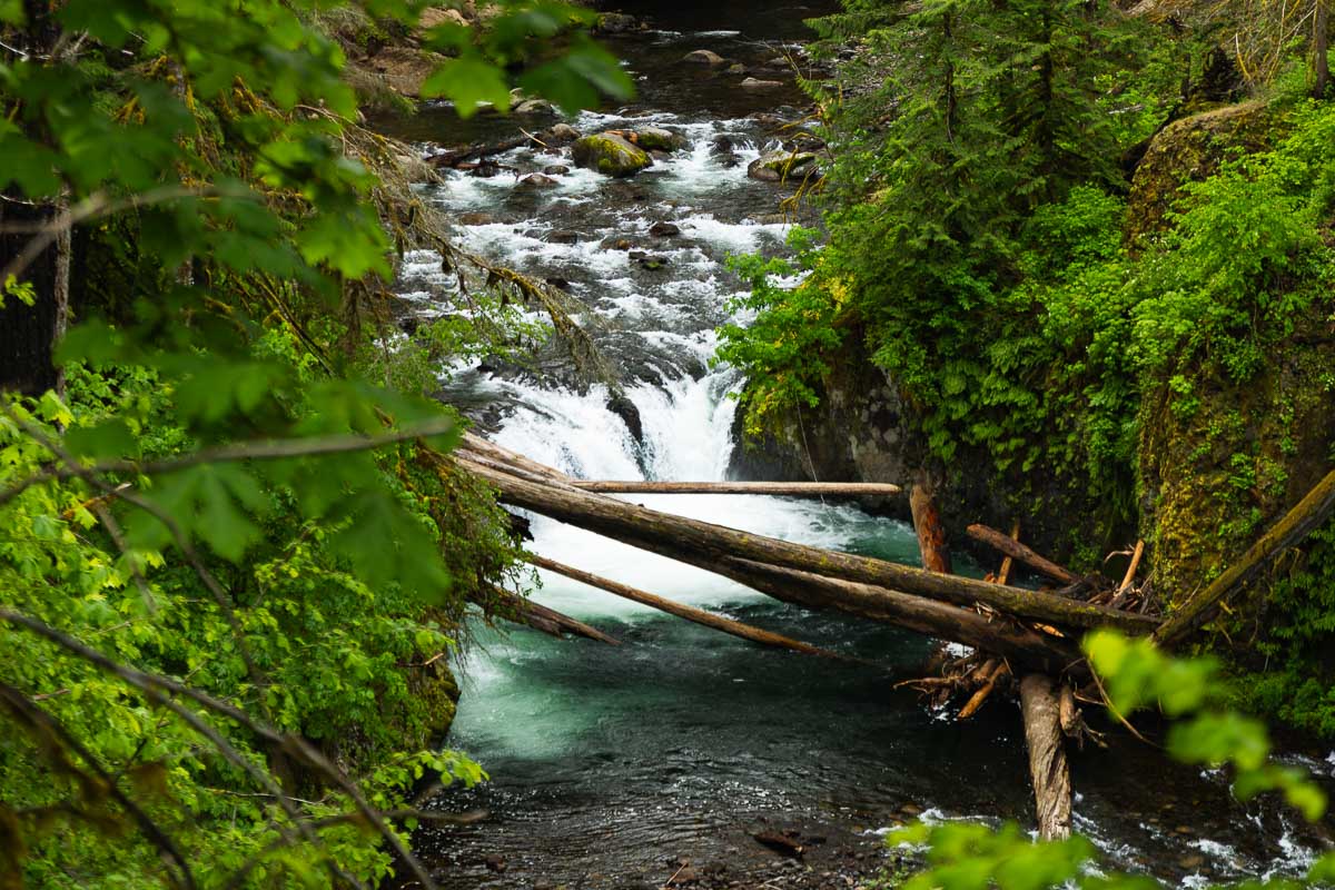Small falls on along the trail