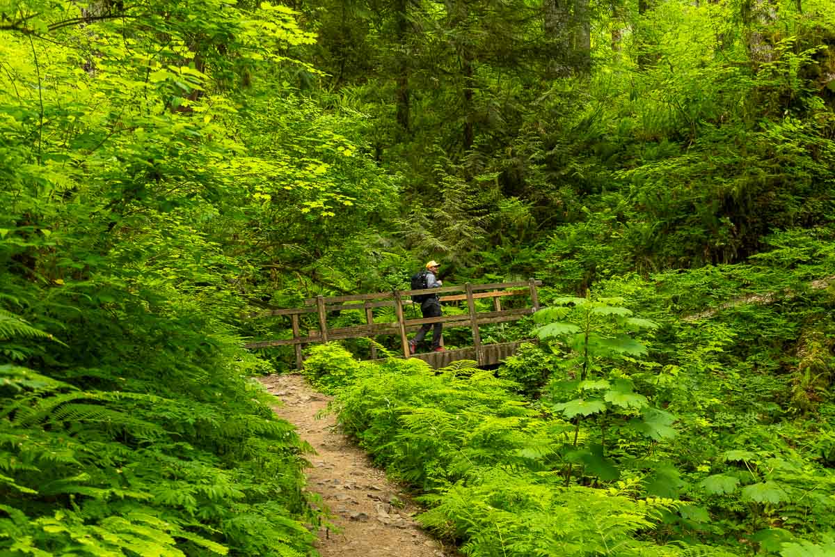 Garrett walking over bridge with tons of green bushes.