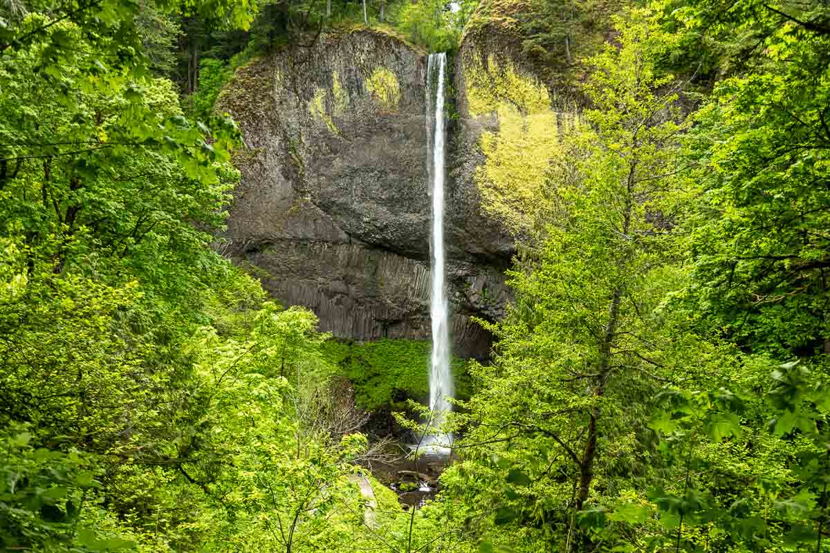 Latourell Falls surrounded by greenery.