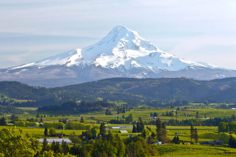 Mt. Hood and Hood River valley panorama in Spring Oregon.
