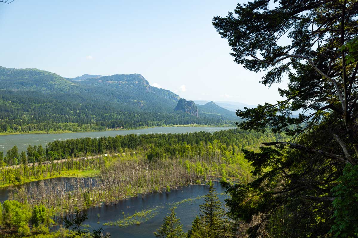 Gorge view from trail