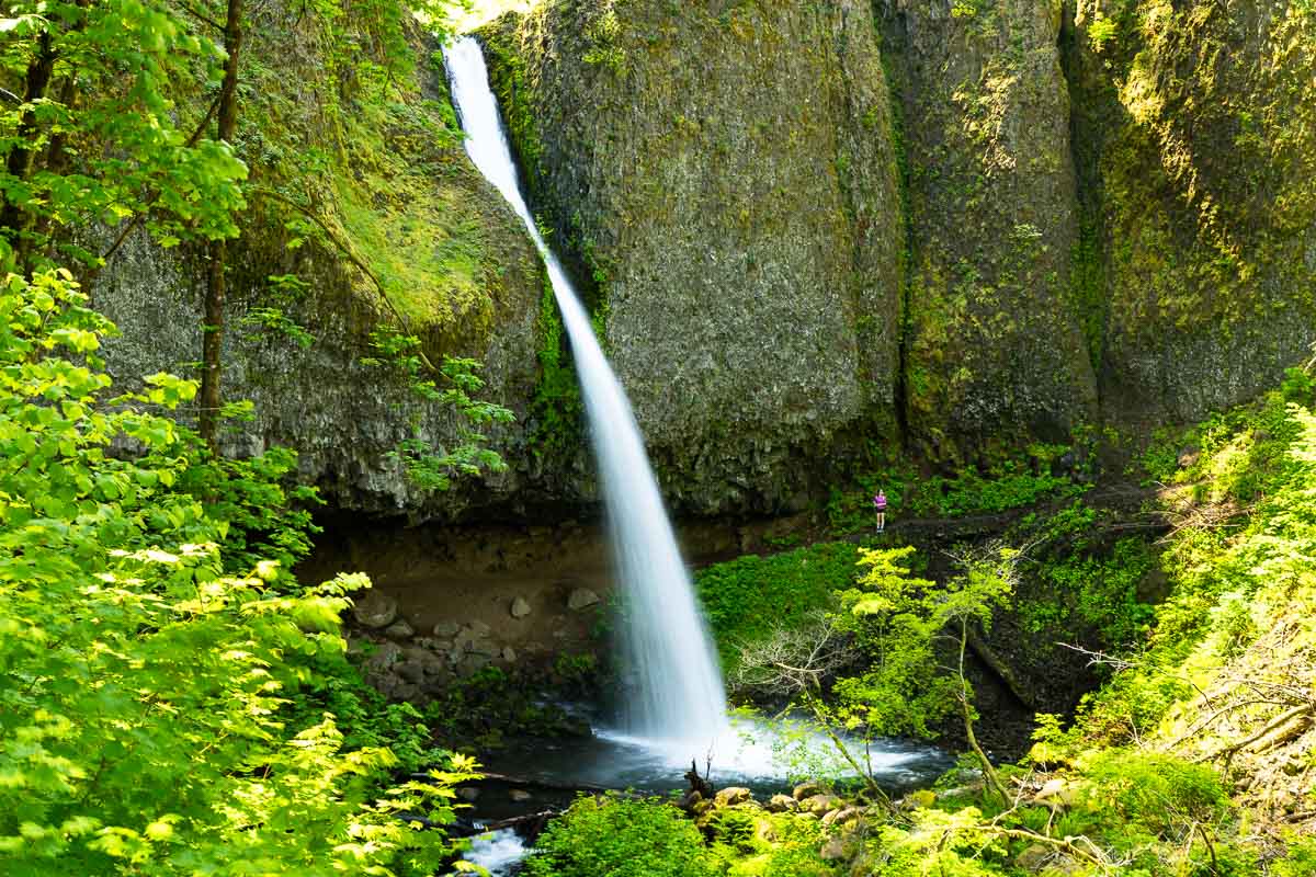 Ponytail falls walking behind it.