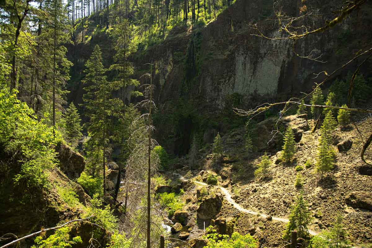 Wahclella Fall trail from above