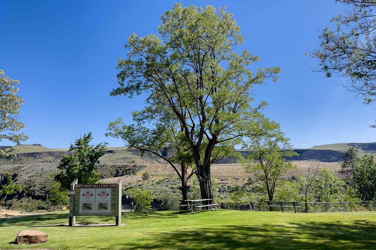 Picnic tables, big tree and sign at White River Falls