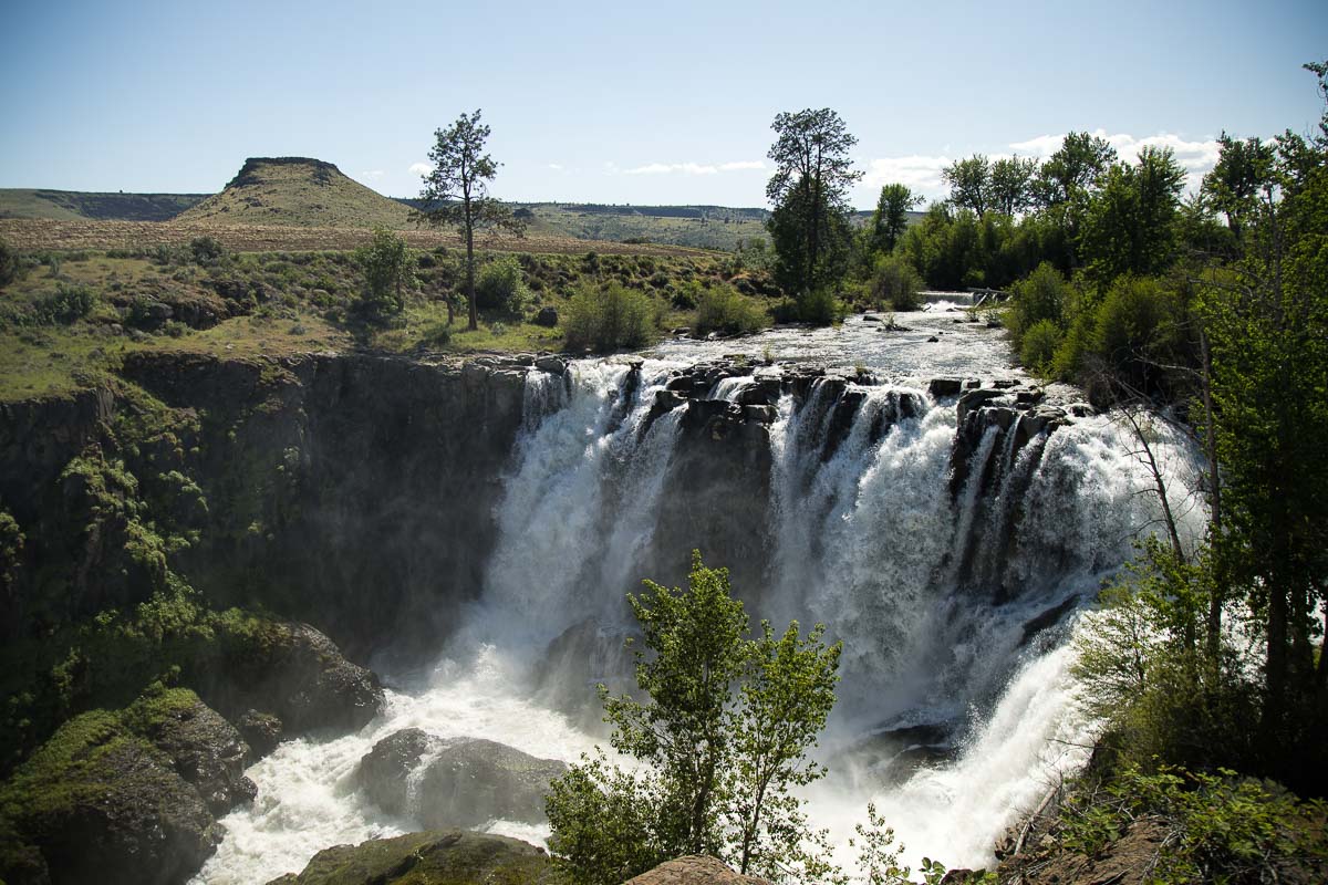 The top of White River Falls