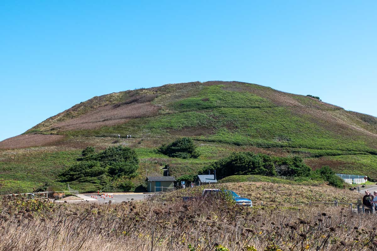 View of hill behind Yaquina Head center
