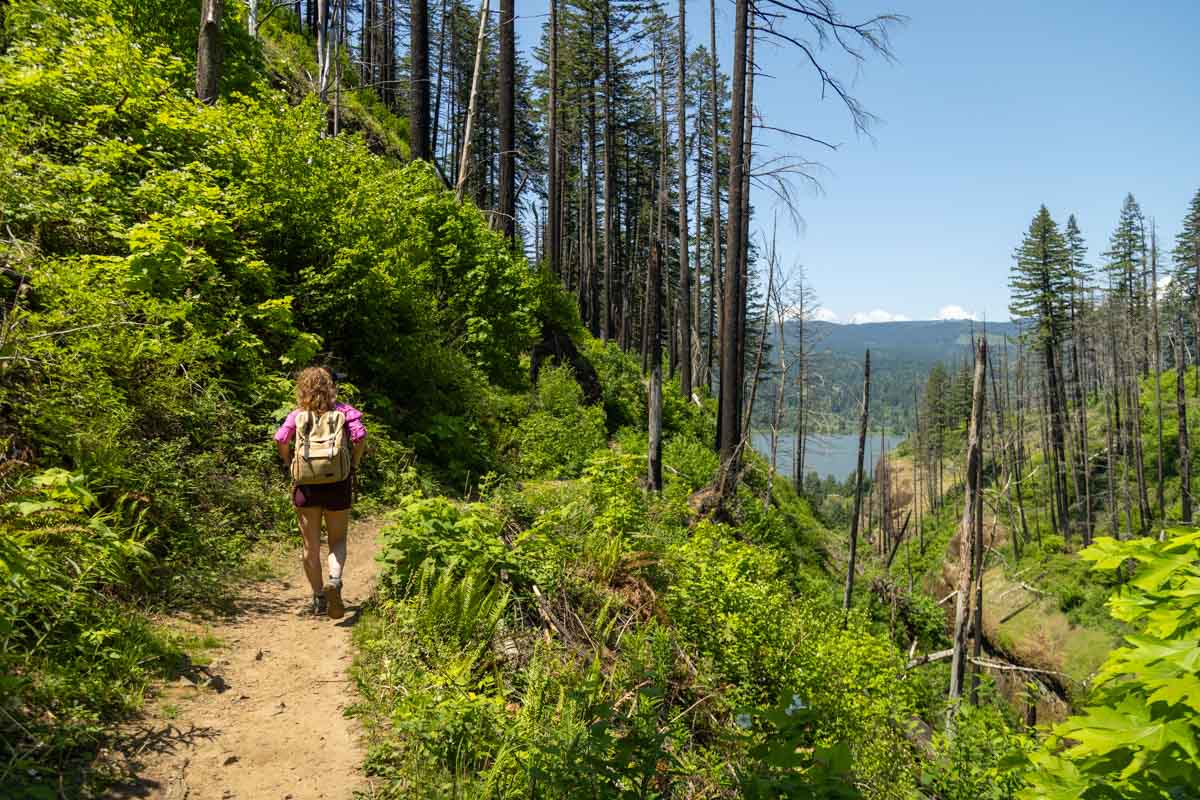 Nina, a woman, hiking on a trail with burned trees.