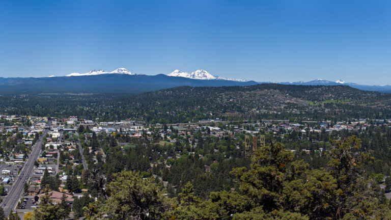 Image Credit: Cacophony - CC BY-SA 3.0/Wiki Commons