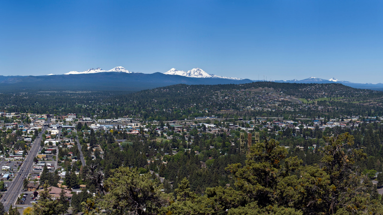 Image Credit: Cacophony - CC BY-SA 3.0/Wiki Commons