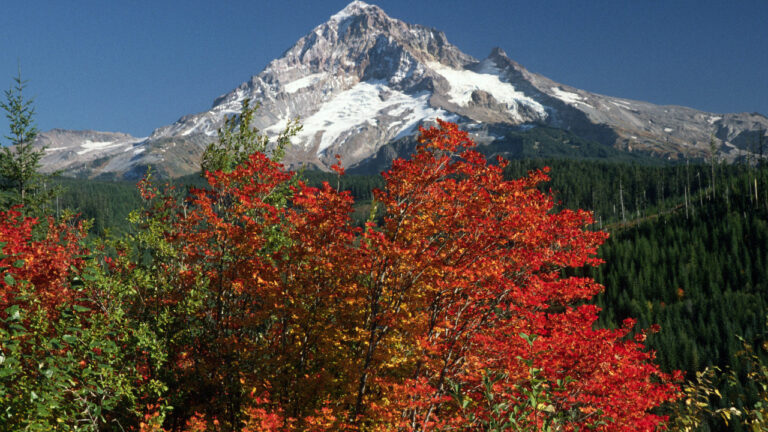 Image Credit: U.S. Forest Service- Pacific Northwest Region - Public domain/Wiki Commons