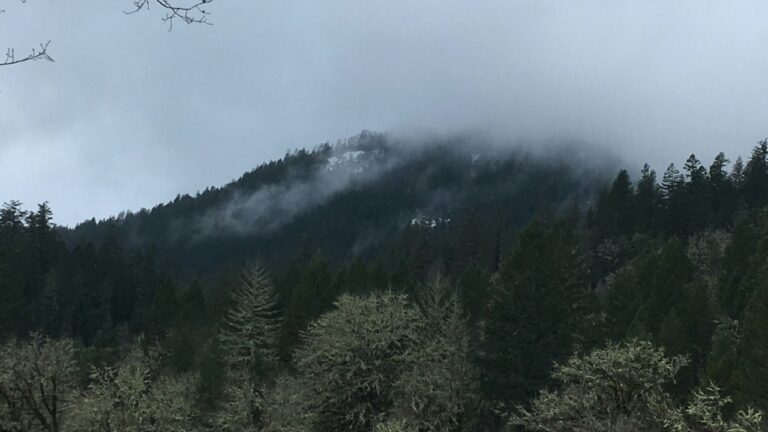 Foggy mountains.