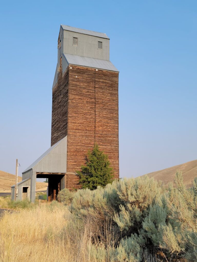 A rustic grain elevator amidst tall grass and shrubs in Lexington, Oregon, USA.