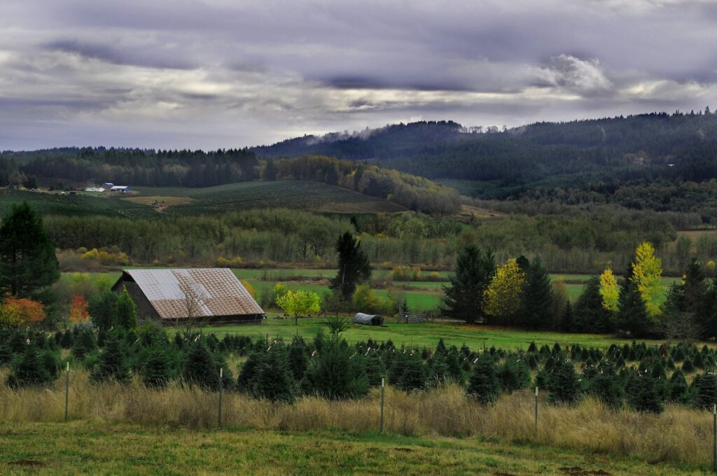 Beautiful country rural landscape with barn. Located in Oregon. Hills in background.